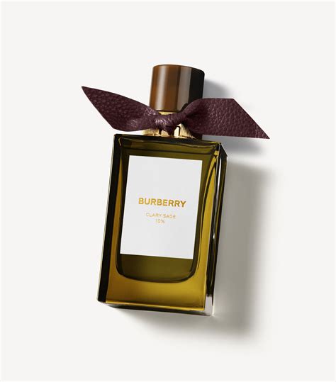 The 9 Best Burberry Perfumes, According to Reviews 